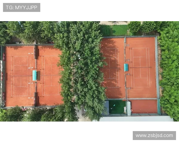 红土网球场上的激烈对决与赛场风景的完美融合